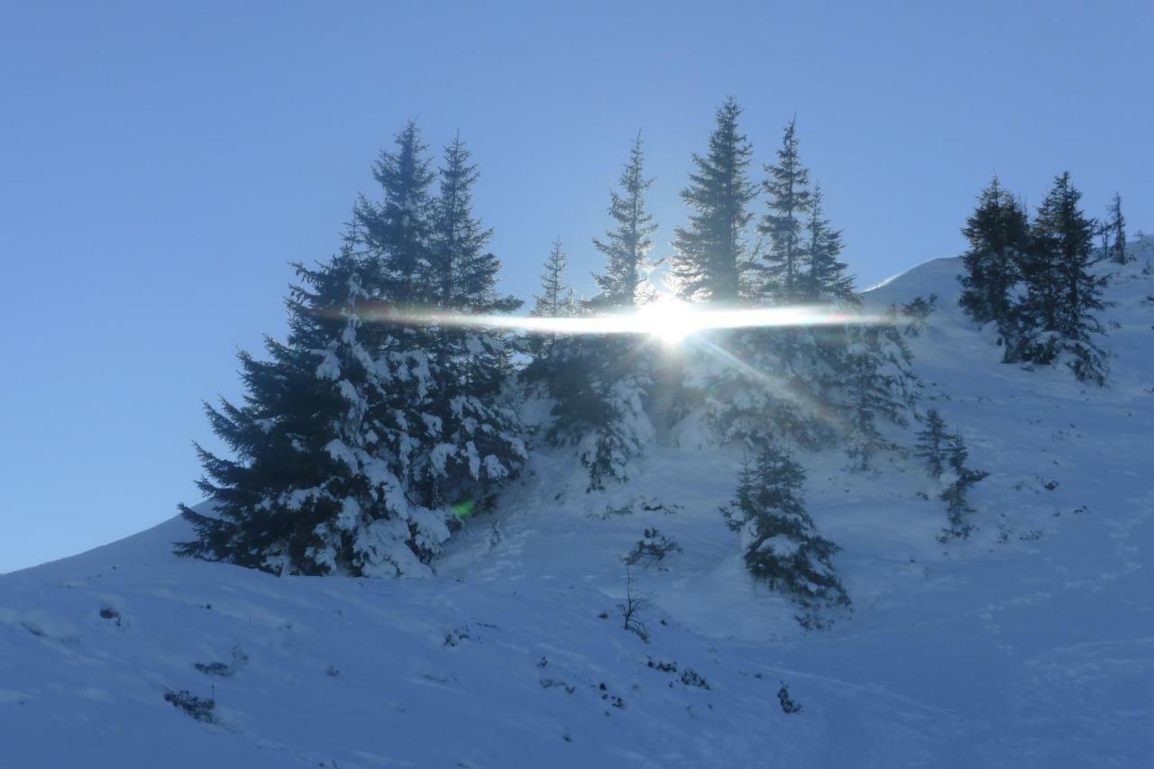 Spath Apartment Kaprun